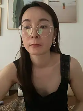 you-520 webcam