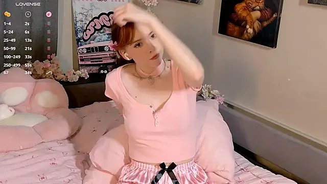 Libellule_s webcam