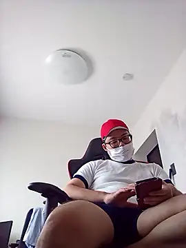 Japanesemask webcam