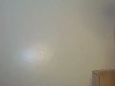 shugabaibe webcam