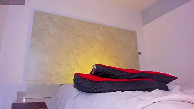 Stephane_rouse webcam