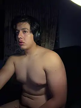 becv21 webcam