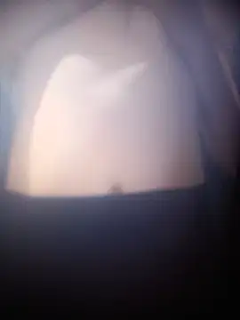 rodrigues99 - Rodrigues99's free webcam - UK Sex Cams