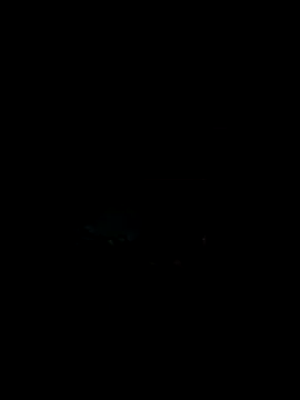 Loquillo67h webcam