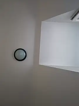 briochin webcam