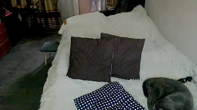 sex2 webcam