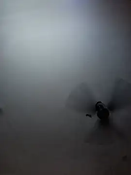 Meloni_71 webcam