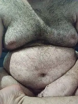big__bearrr webcam