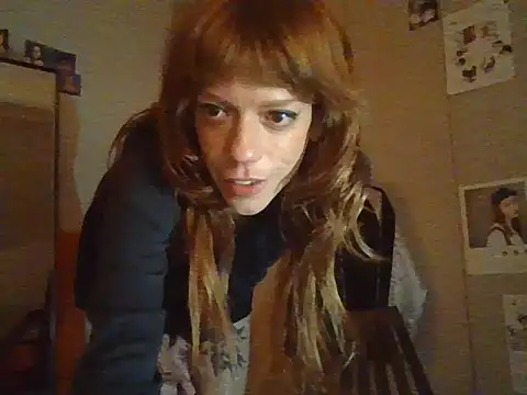 plsmecha webcam