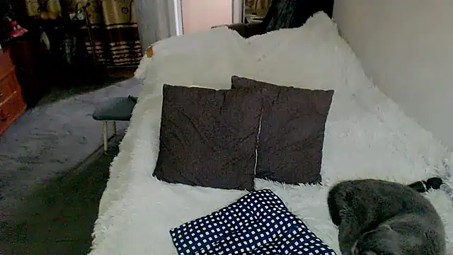 sex2 webcam