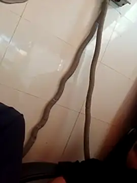 Ranibhabhi96 webcam