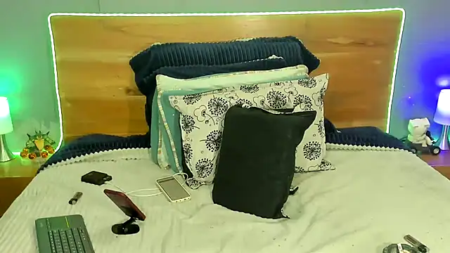 Prometeo-grizzly webcam