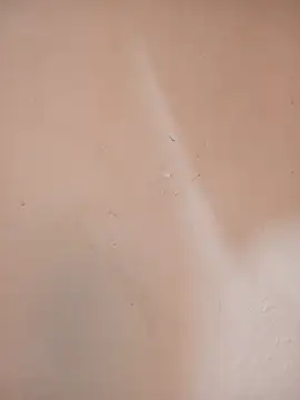 DaisyHarperr webcam