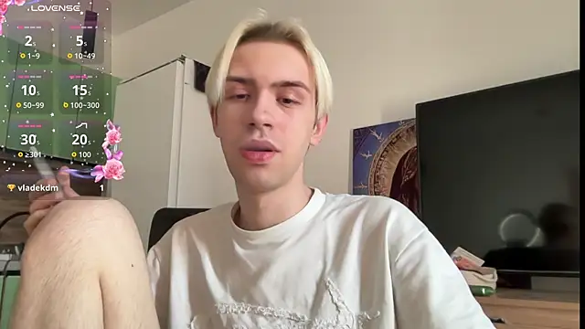 skibatryanka webcam