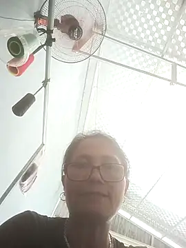 Vieekee webcam