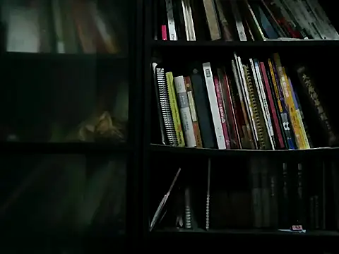 Lv8763 webcam