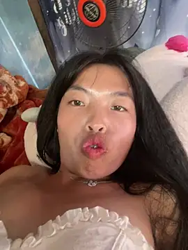 Hikomy- webcam