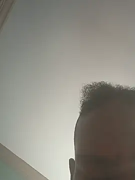 ReallyReallyReal webcam