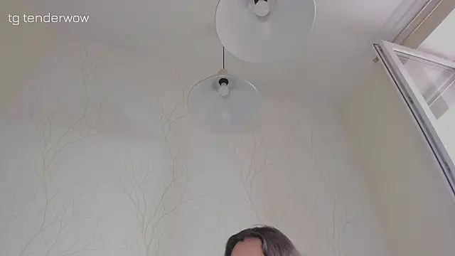 Tenderalise webcam