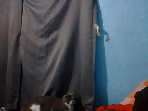 Bwc4u2Ride webcam