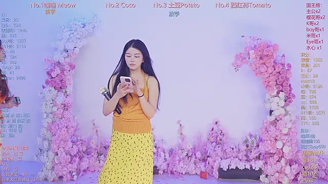 SSF-888 webcam