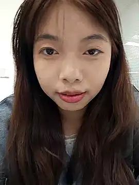 NN-833 webcam