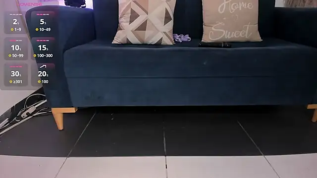 ana_ev webcam