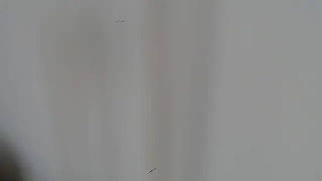 zeus-es@xh webcam