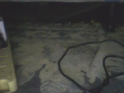 Bebita-zmp webcam