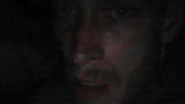 Leshok webcam