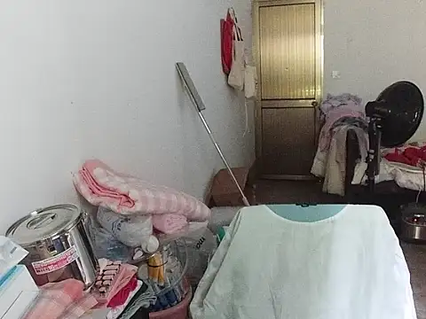 RebelAura webcam