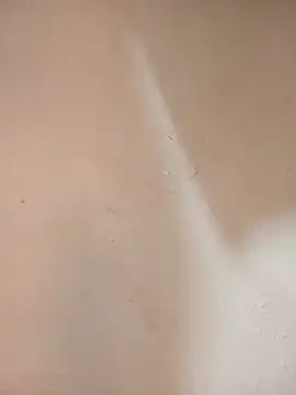 DaisyHarperr webcam