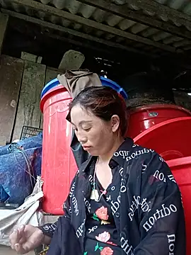 seacyre webcam