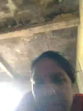 Loomaraj webcam