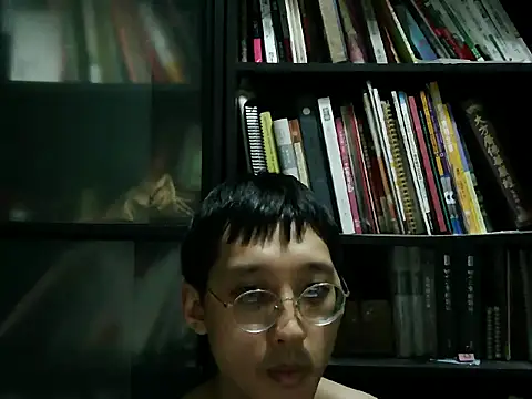 Lv8763 webcam