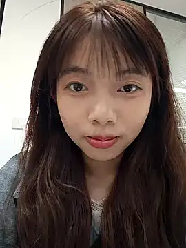 NN-833 webcam
