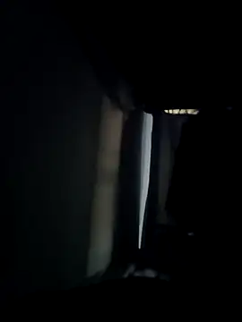 ___147258 webcam