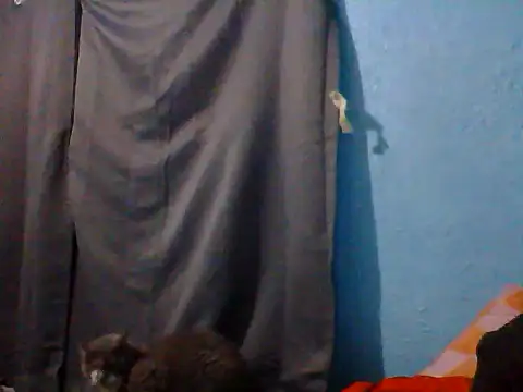 Bwc4u2Ride webcam