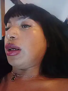 Modelo: MeelFox