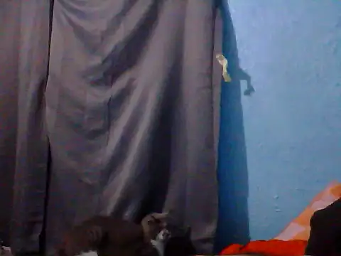Bwc4u2Ride webcam