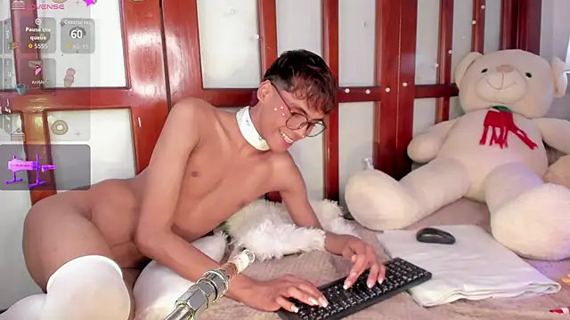KaelSoft_ webcam