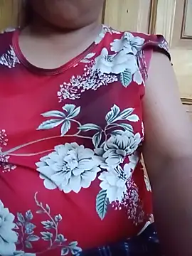 Ip34 webcam