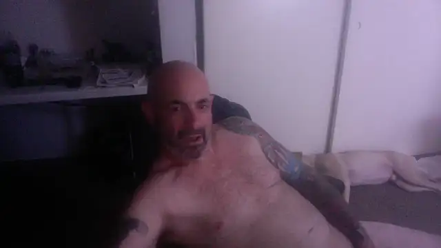 palidin1 webcam