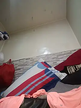 AvaChannel webcam