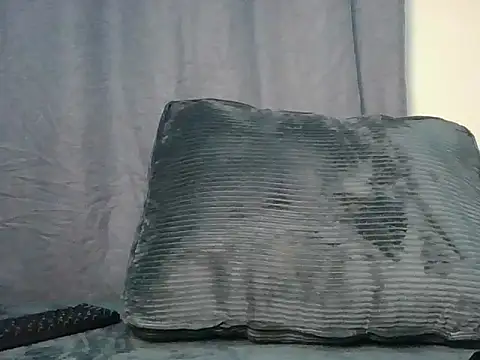 Fineassset webcam