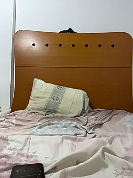 ale_biig webcam