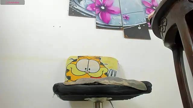 baiolethX webcam