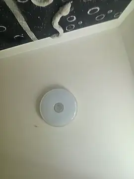 Babylizz webcam