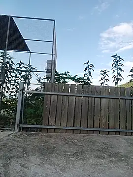 Linda-yiyi webcam