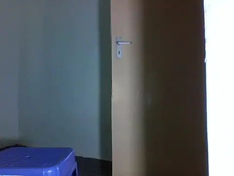 tesysin webcam